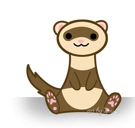 Ferret Animal How To Draw at Jeffery Leticia blog