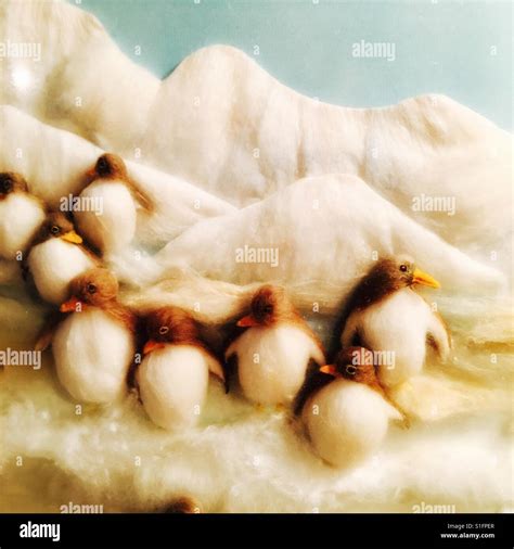 Image result for Introduction to Pingouin Python Tutorial