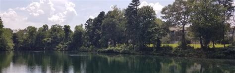 Image result for Diffused Aerators