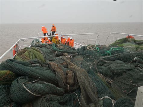 严厉打击长江口水域非法捕捞联合行动取得阶段性成果