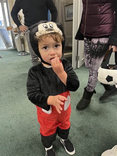 Image result for CMS Insurance