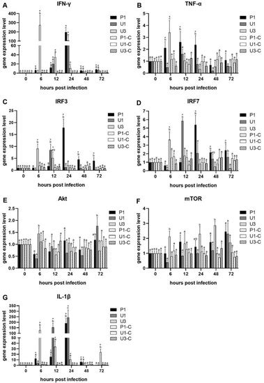 Earlier Activation of Interferon and Pro-Inflammatory Response Is ...