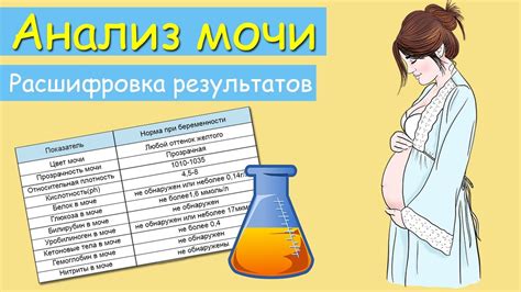 Анализ мочи при беременности. Расшифровка результатов - YouTube
