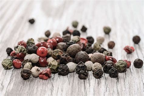 Peppercorn Medley Vs. Black Pepper — How Do They Compare? – SPICEography