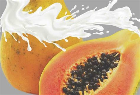 Fact Check: Can milk and papaya increase breast size? - THIP Media