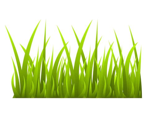 Grass vector, Grass clipart, Grass