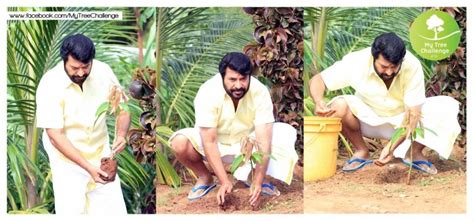 Mammootty Kick Starts 'My Tree Challenge'; Nominates Shah Rukh Khan ...