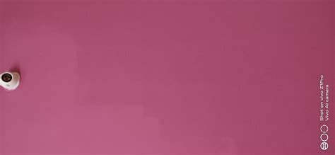 [Resolved] Asian Paints — Royale health sheet