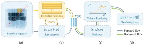 Fast Digital Orthophoto Generation: A Comparative Study of Explicit and ...
