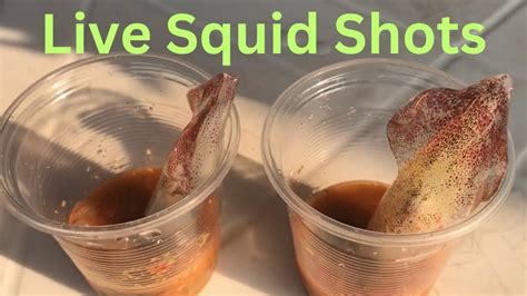 Image result for Live Shellfish Eating Challenge