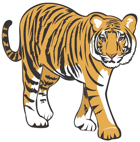 tigers #3442712 | Clipart Library