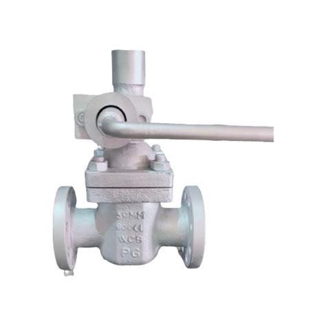 PARALLEL SLIDE BLOWDOWN VALVE | Pg Valves