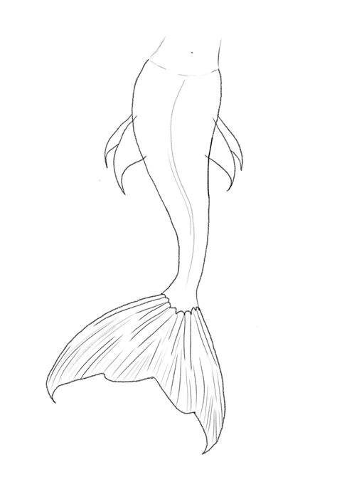 How to draw a mermaid tail in 15 easy steps – Artofit