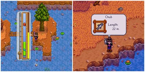 Stardew Valley: How to Catch a Chub
