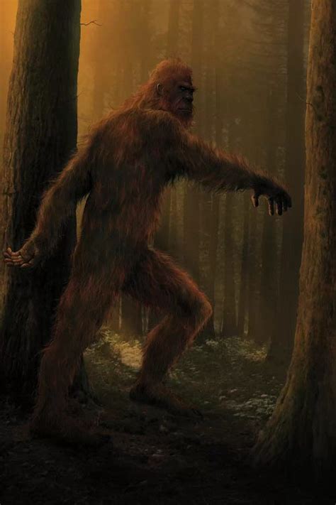 Image result for Bigfoot Found Alive