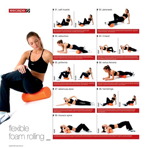 Printable Ab Roller Exercises