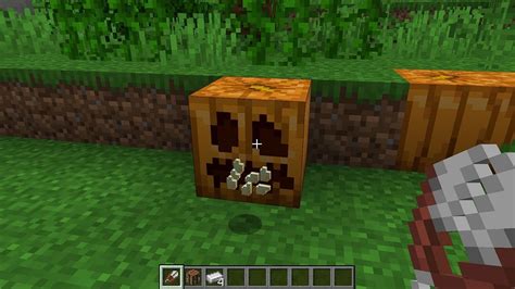 Image result for Minecraft Pumpkin Tutorial