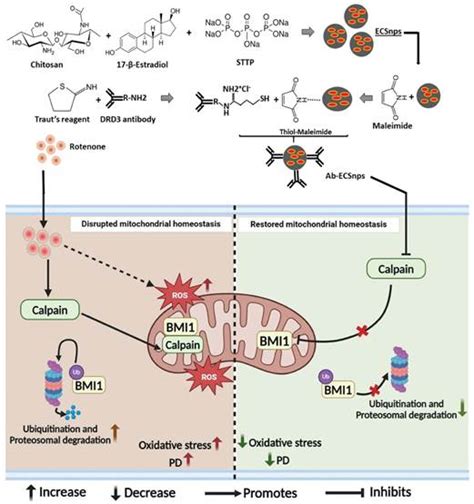 Press Release: Press Information Bureau