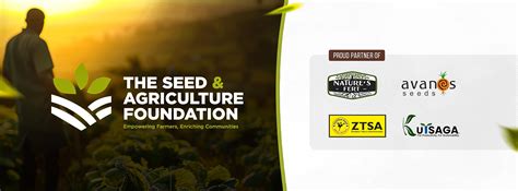 Seed Development 的图像结果