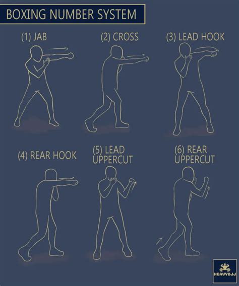 Basic Boxing Punches 的图像结果