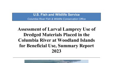 Assessment of Larval Lamprey Use of Dredged Materials Placed in the ...