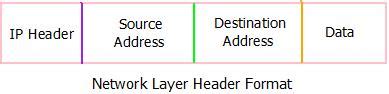 Network Layer : Header Format