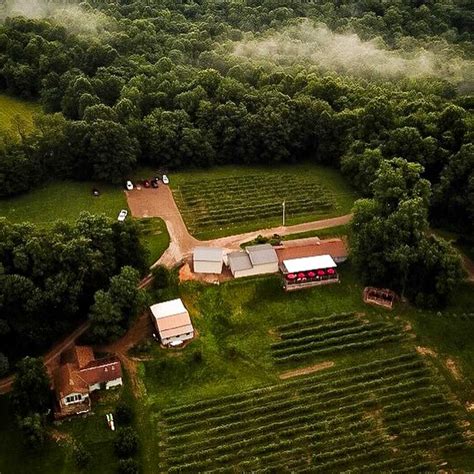 French Ridge Vineyards