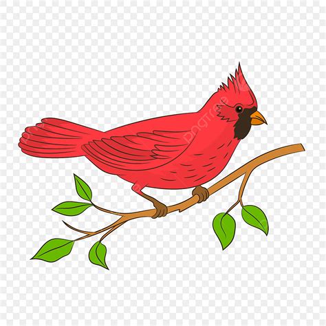 Cardinal Flying Clipart