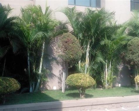 KRISHNA SAGAR RESIDENCY (Baramati) - Hotel Reviews & Photos - Tripadvisor