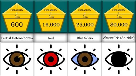 Image result for Probability Comparison Eye Color