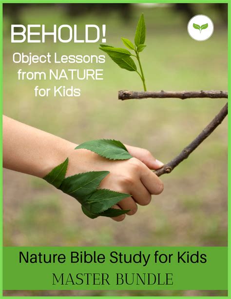 Image result for Nature Object Lessons