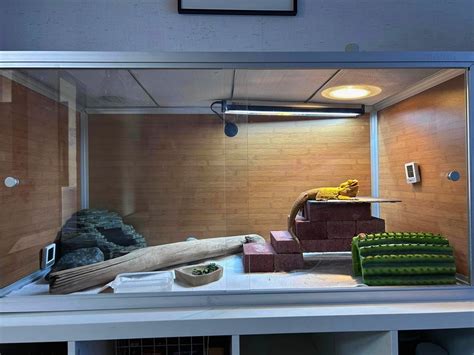50 Best Bearded Dragon Enclosure Ideas - ThePetEnthusiast