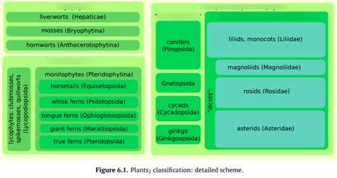 Botany 的图像结果