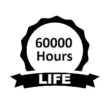 Amazon.in: Buy XtremeMiner 19 Inch U Rack Mount 2U Server Case for 9 ...