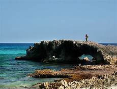 dive cozumel cozumel scuba diving best scuba diving in the world dive cozumel cozumel scuba diving best scuba diving in the world