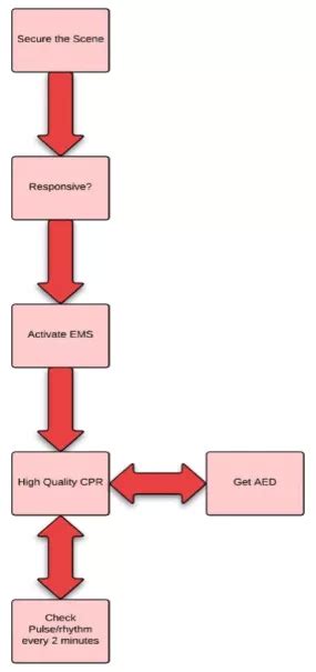 ACLS Study 的图像结果