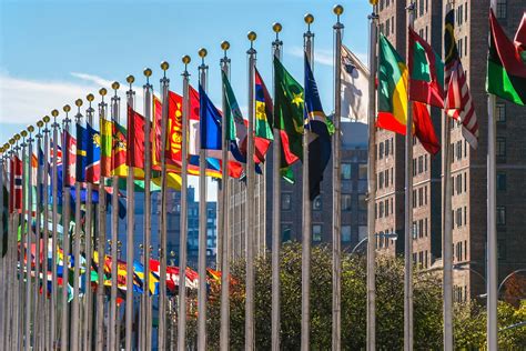 For multilateral firms, architecture for meaningful reform exists