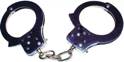 5 members of Babbar Khalsa International terror module linked to ...