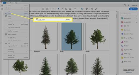 Image result for Copy and Paste Image into PDF