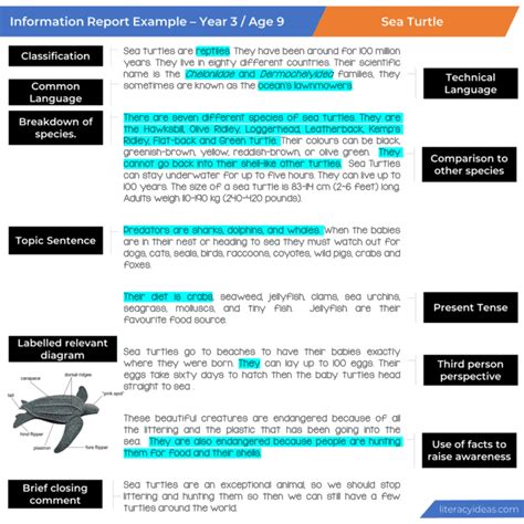 Image result for Information Report Structure
