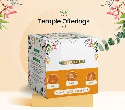 CYBEXIS Grow Kit - Tulsi,Marigold & Butterfly Pea Seed Price in India ...