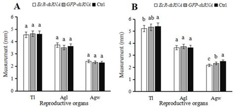 Effects of the Ecdysone Receptor on the Regulation of Reproduction in ...
