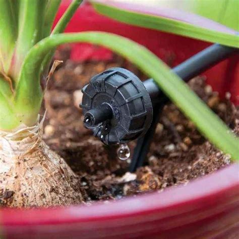 Automatic Drip Irrigation Setup Service Service Provider from Bengaluru