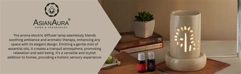 Asian Aura Electric Aroma Diffuser Set Cylinder Shape Burner (Fragrance ...