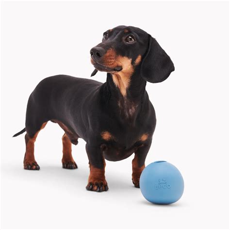 Beco Interactive Dog Ball Wobble Ball - Petsonline