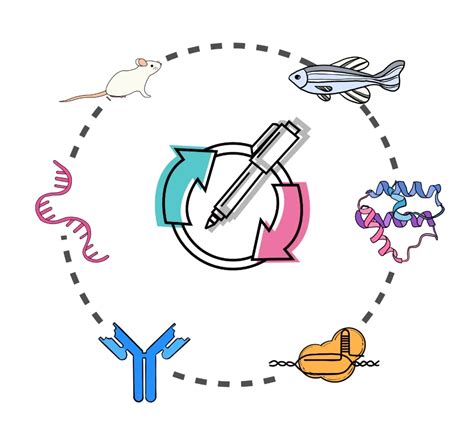 Image result for Visual Studio Vector Program