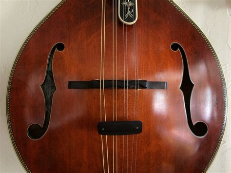 Ebony Harmonic Suppressor - Mandolins, Instruments For Sale - Montana ...