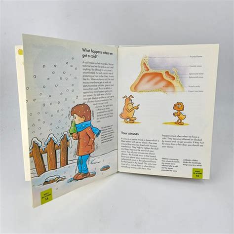 How My Body Works The Nose And Tongue - BKLT41809 – Extrokids
