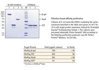 RoboPop™ Ni-NTA His•Bind® Purification Kit | 71188