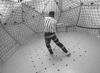 Image result for Generating Dynamic